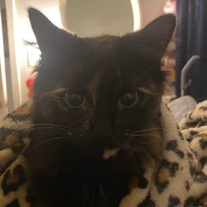 Meet your Posher, Mady